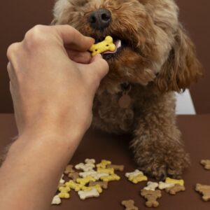 Receta casera: galletas naturales con polen de abeja para perros
